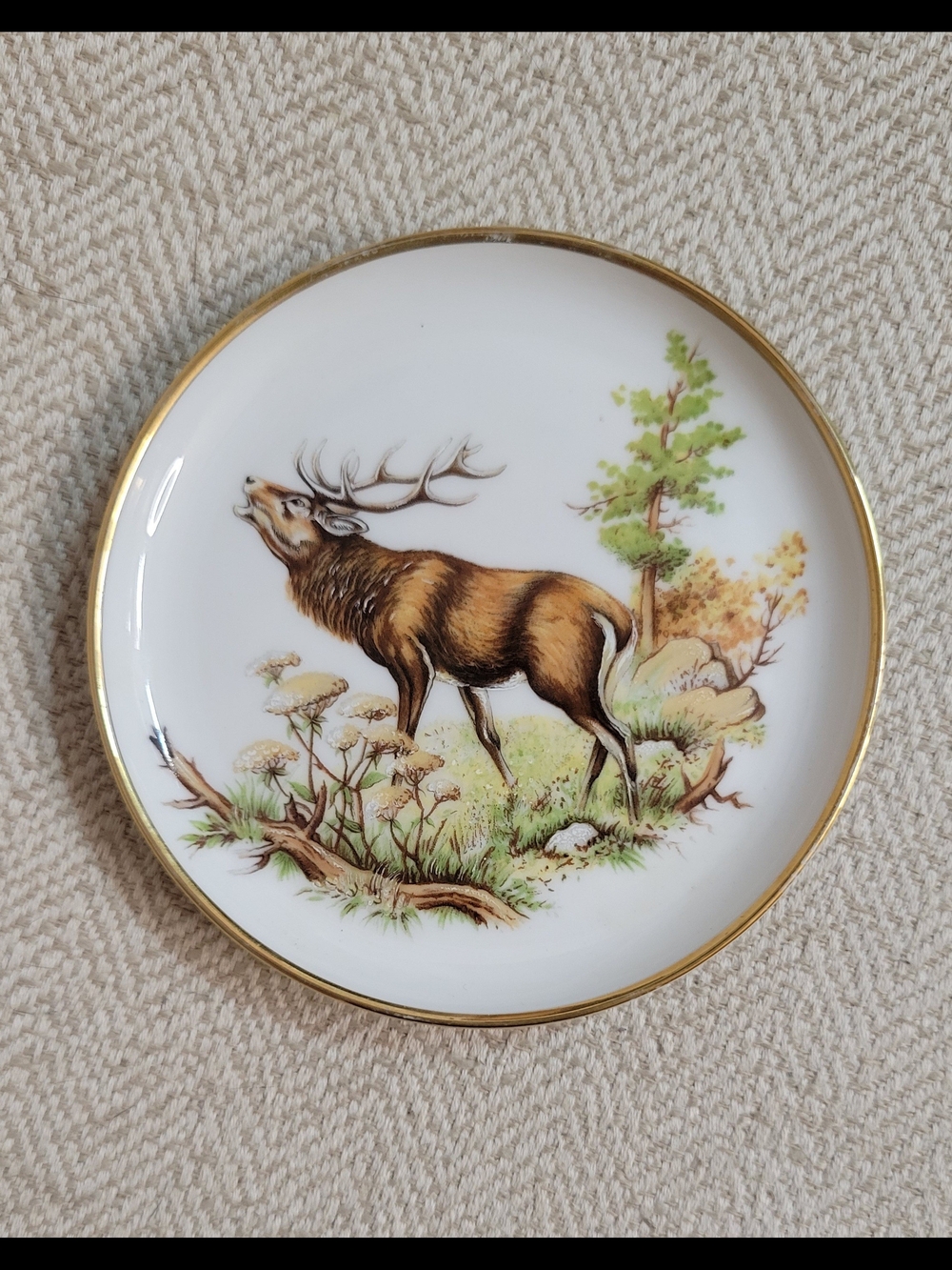 Vintage AK Kaiser Germany Stag Deer Wildlife Porcelain Collector Plate 398